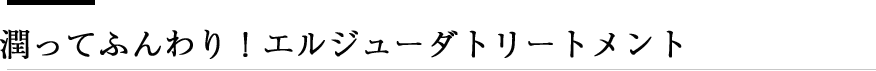 潤ってふんわり！エルジューダトリートメント